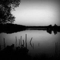 /album/murjekheltenkelt/photolia-b01-jpg/