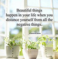 /album/murjekheltenkelt/a1377562-439725019465069-432323204-n-jpg/